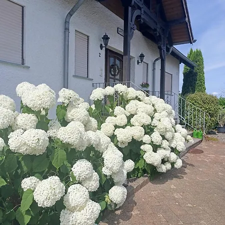 Meisenthal Naehe Nuerburgring